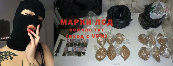 спиды Медвежьегорск