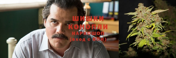 шишки Медногорск