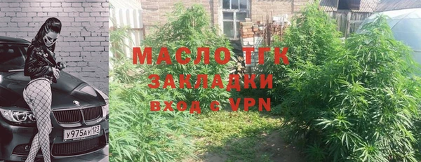 шишки Медногорск