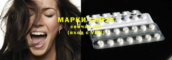 шишки Медногорск