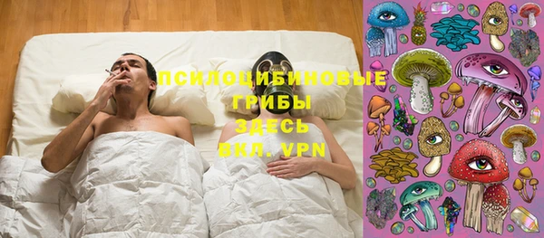 шишки Медногорск