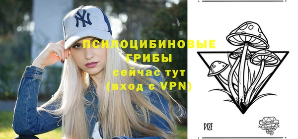 спиды Медвежьегорск