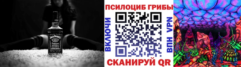 наркошоп  Мытищи  Псилоцибиновые грибы ЛСД 
