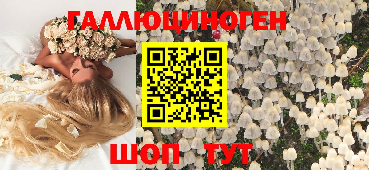 Галлюциногенные грибы прущие грибы  Мытищи 
